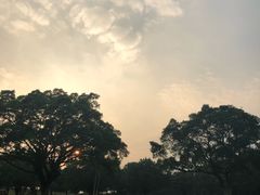 -东莞植物园