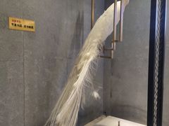 -火啫啫·粤式啫啫煲(南通首店)
