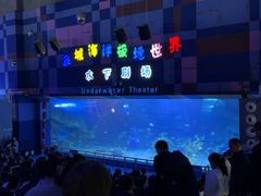 -泉城欧乐堡海洋极地世界