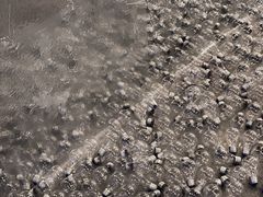 -chi K11艺术空间展览厅