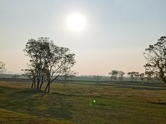 -盘龙城国家考古遗址公园