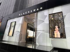 -BLACKSWAN黑天鹅(环球店)