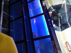 -7890+霸王甲·甲鱼爱尚蛙(坪洲店)
