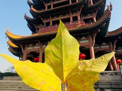 -黄鹤楼公园(黄鹤楼)