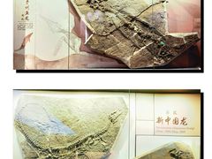 -贵州省地质博物馆
