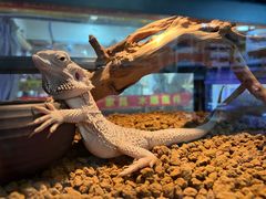 -三旗百汇商品城