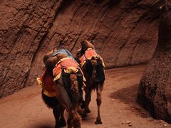 -天山神秘大峡谷