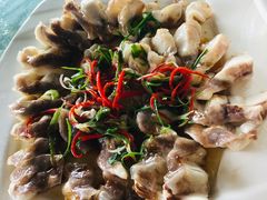 狗鲨-陈岱后山窑鸡店