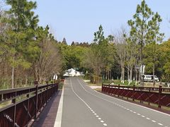 -东平国家森林公园