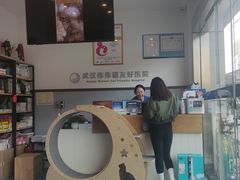 -伟伟宠物医院·瑞派猫友好医院·猫科(光谷店)