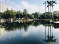 -荔湾湖公园