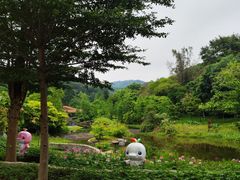 -云溪植物园