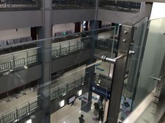 -上海市第五人民医院