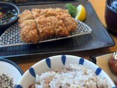 -胜博殿日式炸猪排(西红门店)