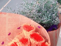 -三圣花乡旅游区