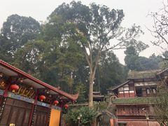 -都江堰普照寺
