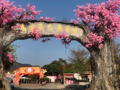 -天适樱花悠乐园