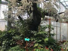 -天目湖山水园