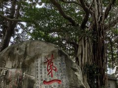 -乌山风景区