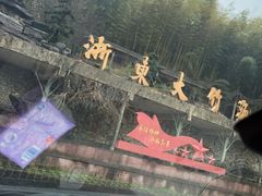 -宁波浙东大竹海景区