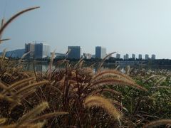 -琅岐红光湖公园