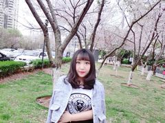 -西北湖绿化广场