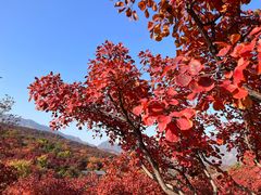 -周口店坡峰岭风景区