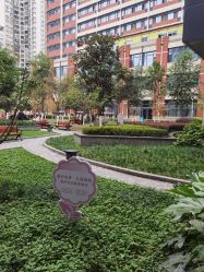 -重庆市妇幼保健院(冉家坝院区)