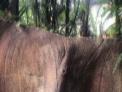 -美的鹭湖森林度假区