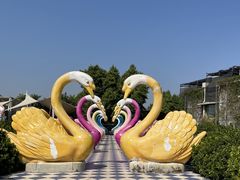-百万葵园