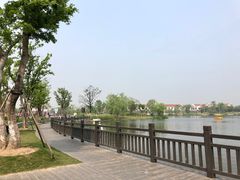 -上海长兴岛郊野公园