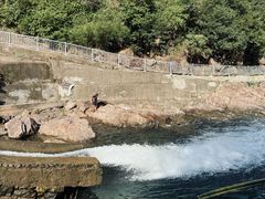 -安吉龙王山峡谷漂流