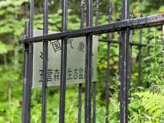 -五营红松林海景区