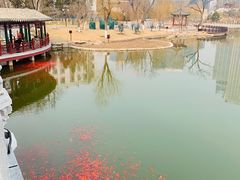 -西海子公园