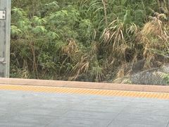 -惠阳站