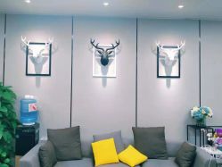 -MJ skin care国际皮肤管理中心