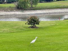 -银涛高尔夫练习场(徐泾店)