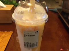 多肉芒芒甘露MAX-喜茶(深圳海岸城店)
