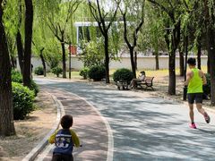 -太阳宫公园