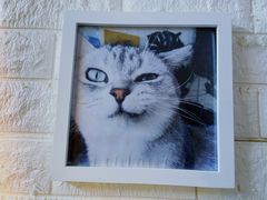 -平行世界·猫咖(首经贸店)