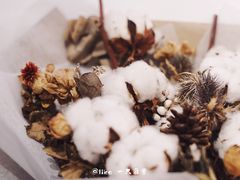 -COTTON CAFE(德信·中外公寓店)