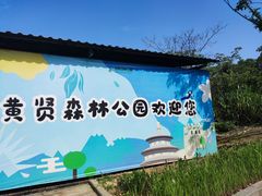 -黄贤森林公园