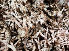 -畲乡一品鱼府土菜馆