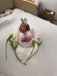 -上海美华妇儿医院
