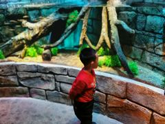 -沈阳海洋探索中心