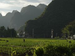 -明仕田园