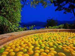 -天目湖涵田半山温泉