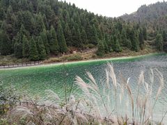 -武陵山森林公园
