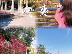 -王借岗森林公园