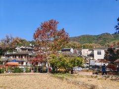 -塔川景区